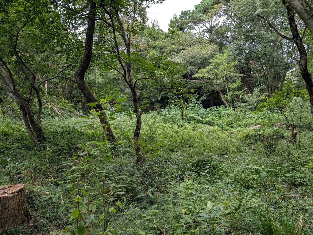 宍塚の自然と歴史の会